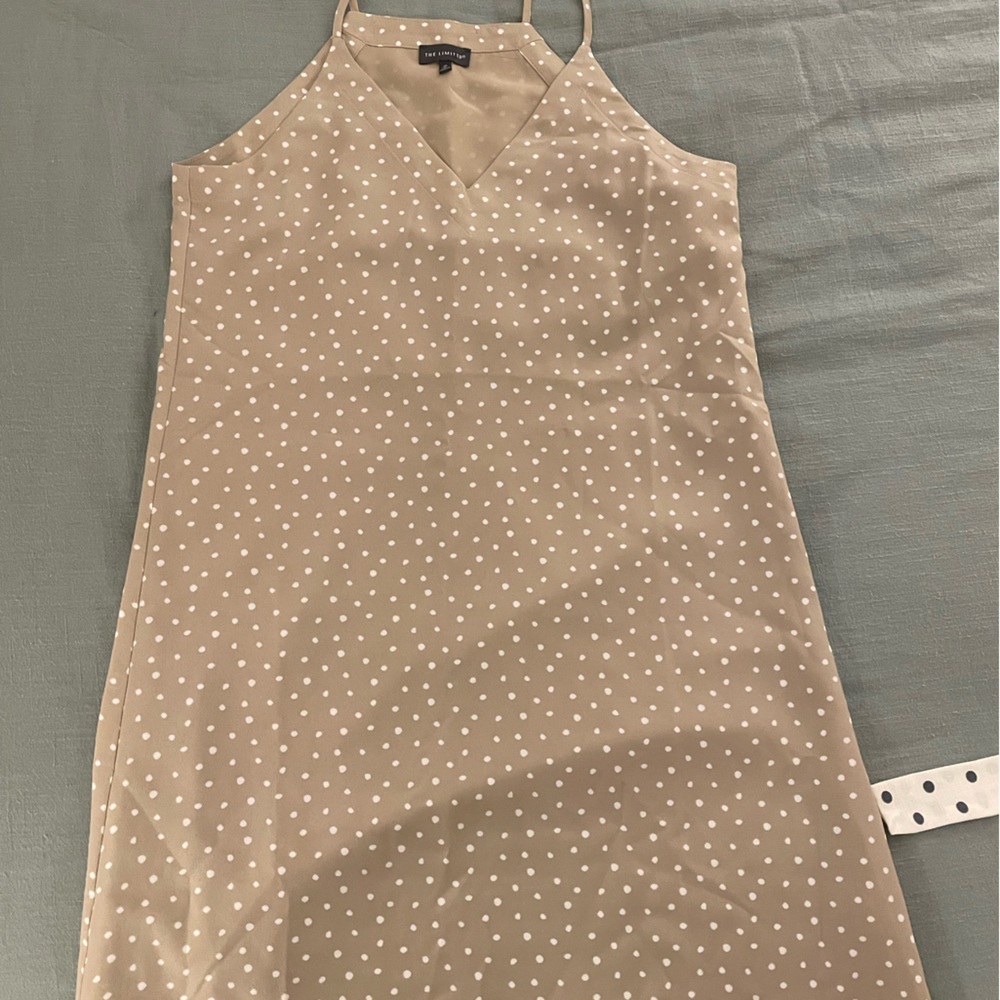 The Limited Polka Dot Mini Dress